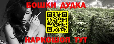 гидропоника Краснодар