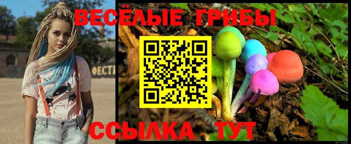 Псилоцибиновые грибы ЛСД  наркота  Клин  Вход с VPN  Галлюциногенные грибы MAGIC MUSHROOMS 