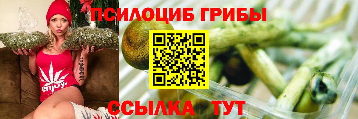 Псилоцибиновые грибы мицелий Клин
